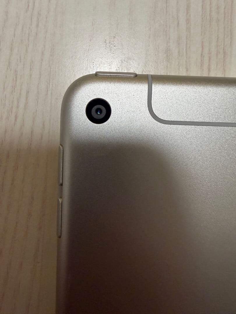 iPad mini (第5世代) Wi-Fiモデル 64GB シルバー　カバー有