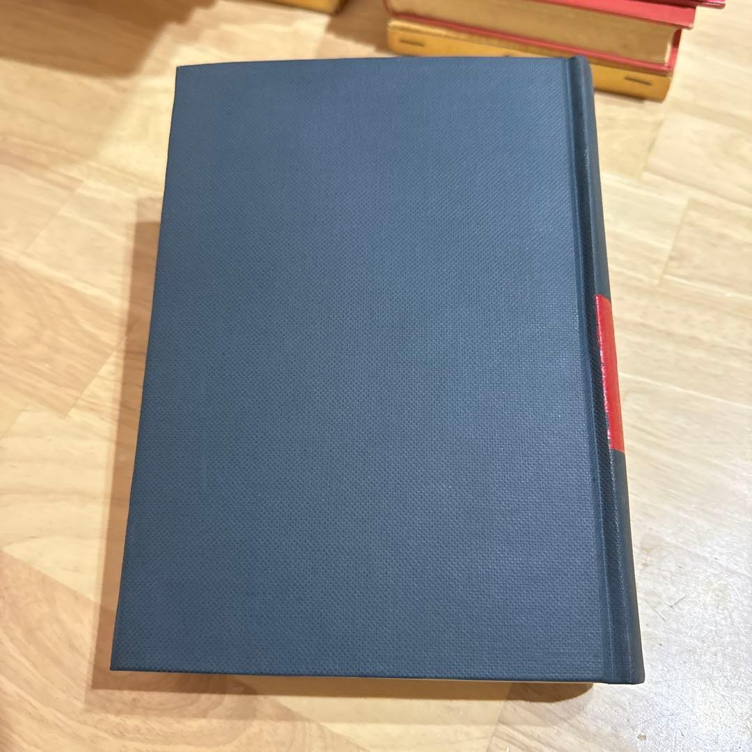 和西辞典 和西商品名辞典 スペイン語 白水社 大阪商工会議所