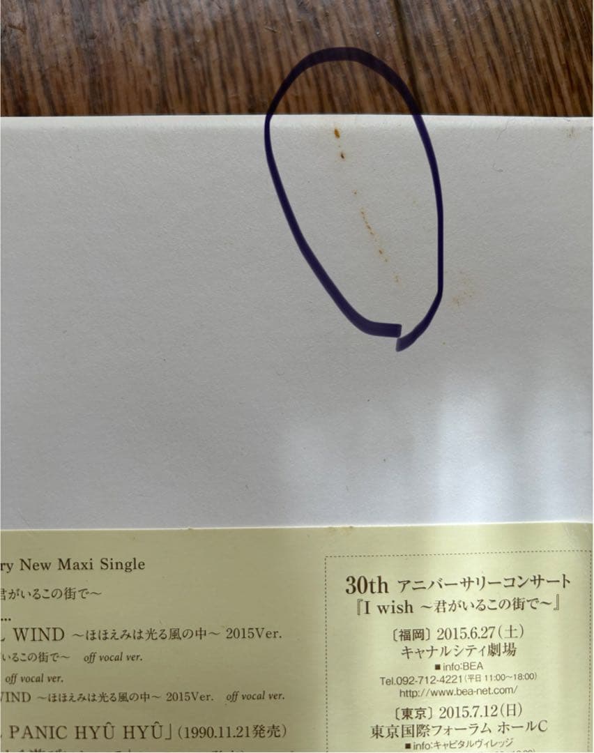 【貴重】森口博子 I wish ～君がいるこの街で～ 初回限定盤