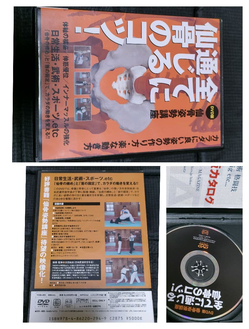 DVD 仙骨姿勢講座 全てに通じる仙骨のコツ!　武術　スポーツ　念力　若山敏弘