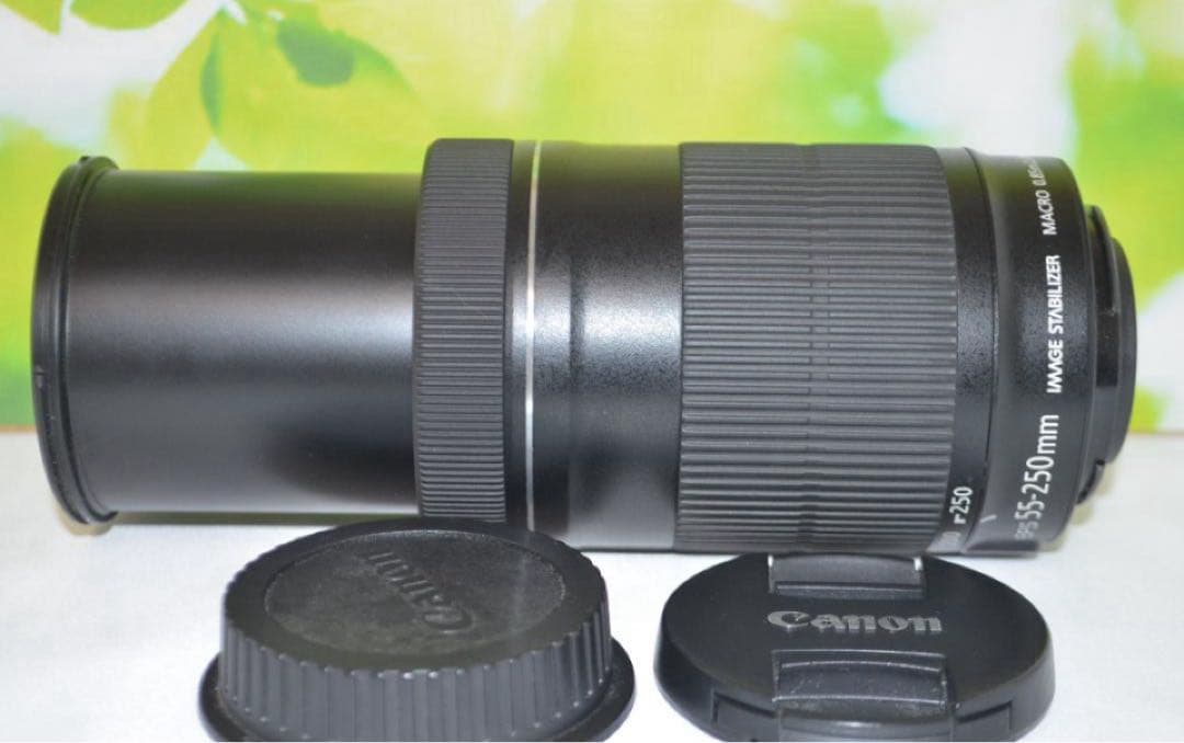 美品❤️超静音レンズ❤️Canon EF-S 55-250mm IS STM