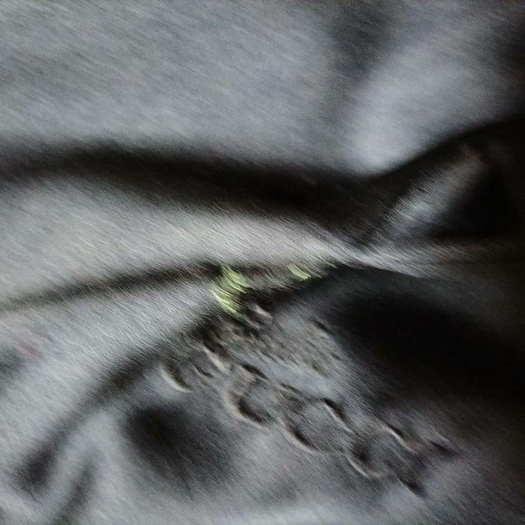 毛皮 ミンク超ロングコート　オーダーメイド　グッチ布内張り　全117cm　M~L