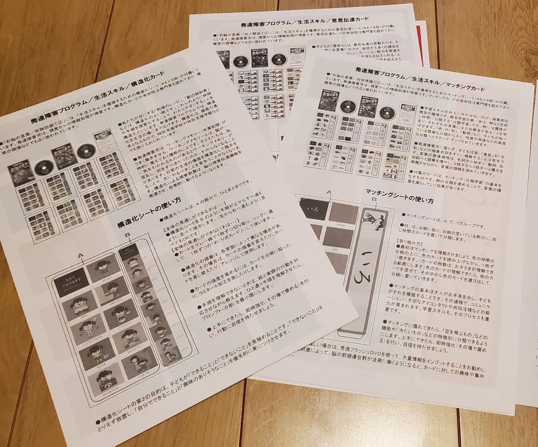 星みつる式 ソーシャルスキルSST／ 家庭療育DVD10巻セット