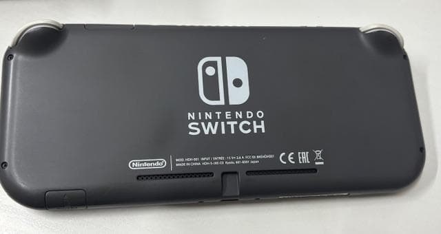 【動作確認済】Nintendo Switch Lite グレー