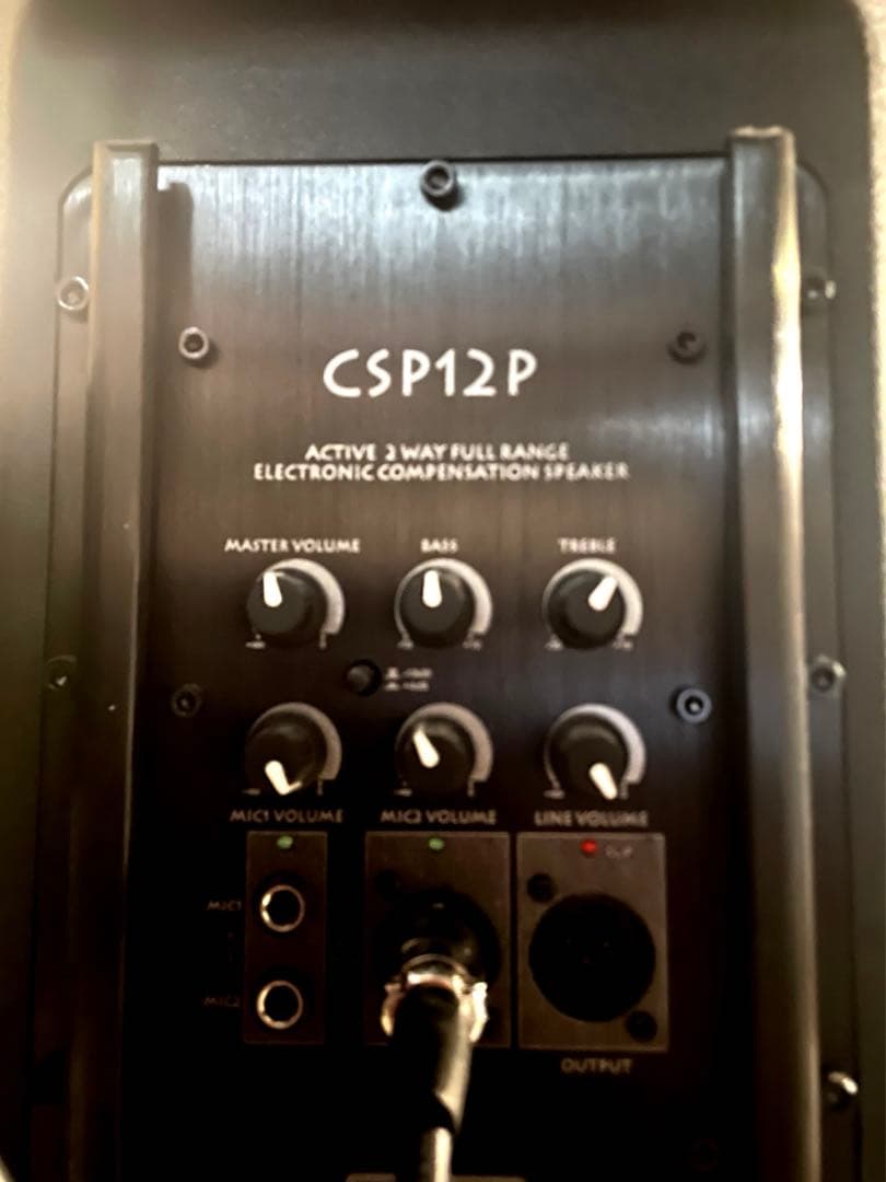 引き取り限定価格Classic Pro CSP12P 2本セット（スタンド付き）