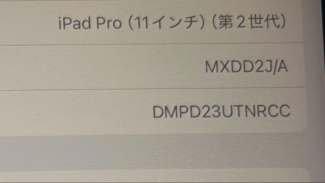 Riz今日限定値下げ中　iPad Pro 11インチ 第二世代　256GB