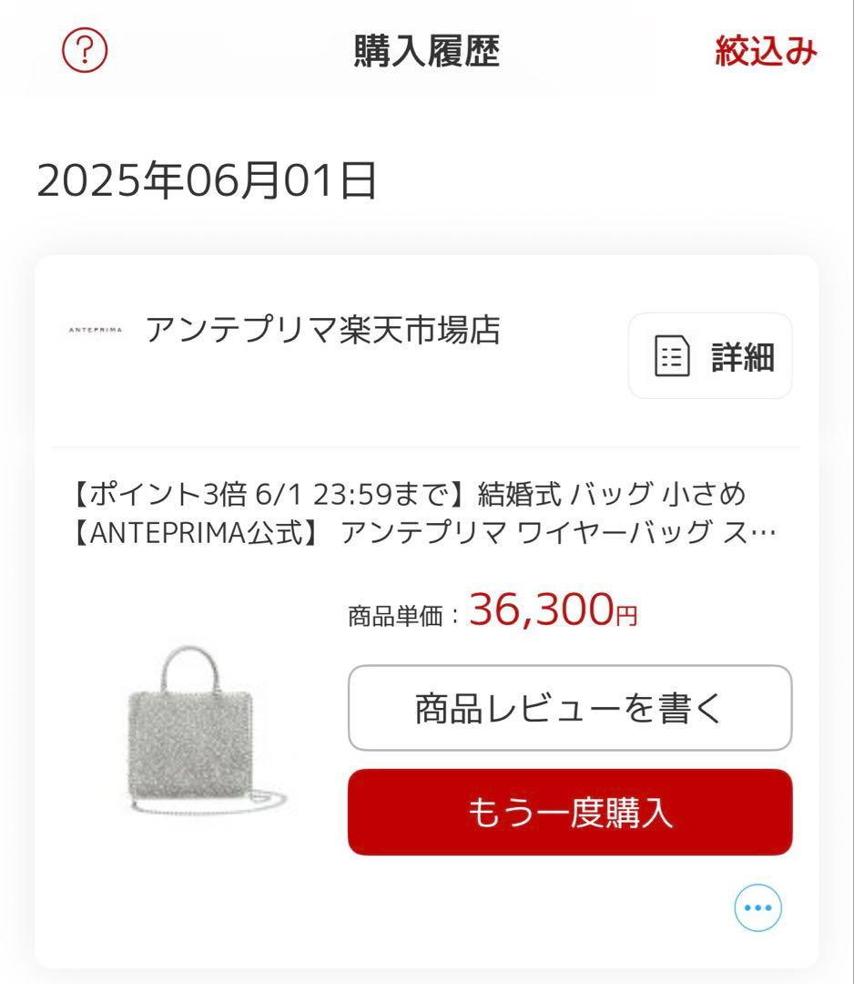 アンテプリマ ワイヤーバッグ スタンダード ミニアトゥーラ シルバー