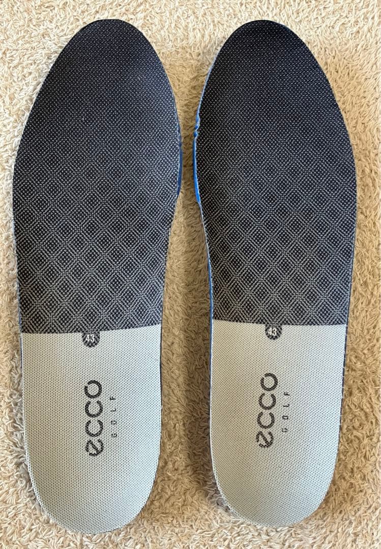 ECCO CORE レザーゴルフシューズ スパイクレス EU43