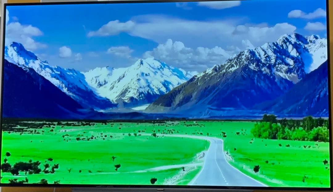 【クレヨン様限定】有機EL 55型 OLEDシリーズ OLED55C7P-J