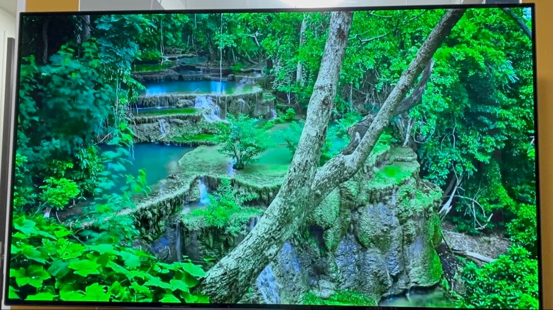 【クレヨン様限定】有機EL 55型 OLEDシリーズ OLED55C7P-J