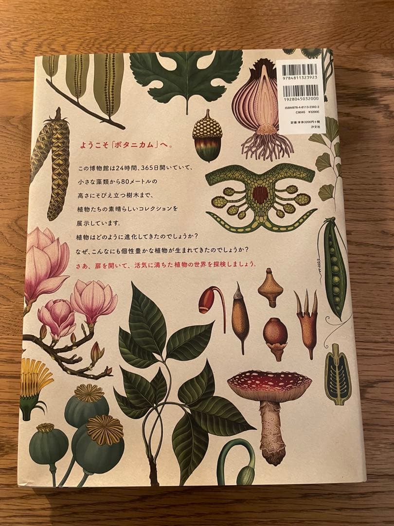 ボタニカム ようこそ植物の博物館へ