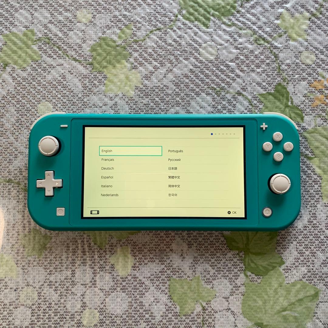 ★Nintendo Switch lite ニンテンドースイッチ 動作確認済★