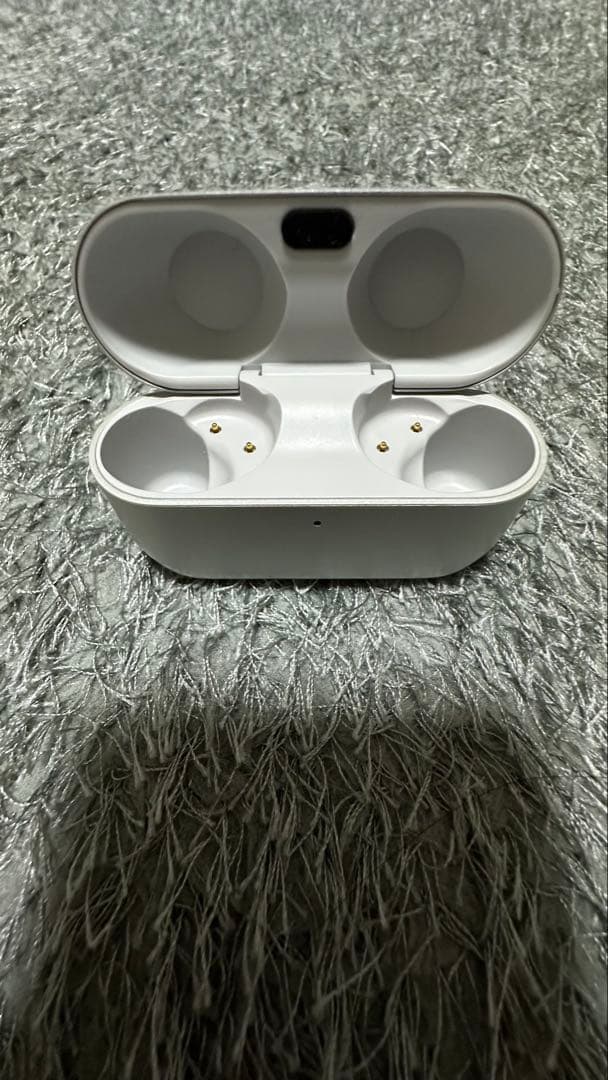 Technics ワイヤレスイヤホン AZ100 シルバー