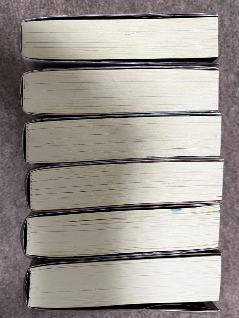 小説「二哈和他的白猫師尊」 (ハスキーとかれのしろねこしずん) 1〜6巻セット