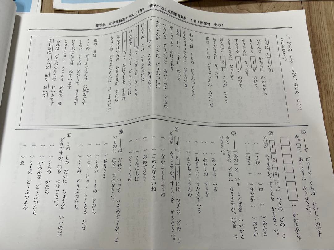 奨学社　小1 毎回の復習　リビューテスト1年分　算数　国語　小学1年生　最レベ