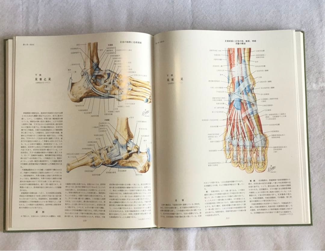 医学図譜集/筋骨格編 Ⅰ・Ⅱ・Ⅲ ３巻セット/箱★書込無し