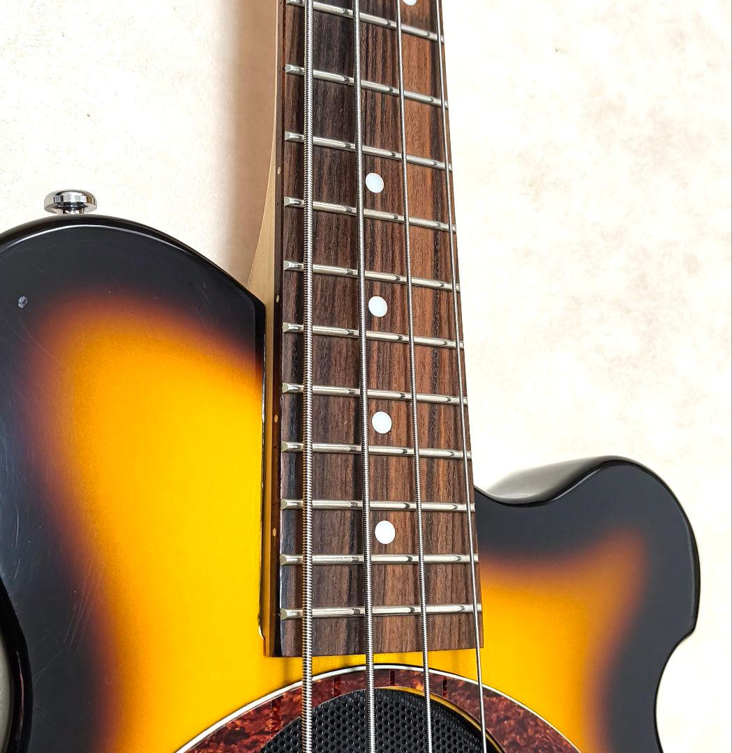 【超美品】PIGNOSE アンプ内蔵ミニベース BS 専用ケース付きピグノーズ