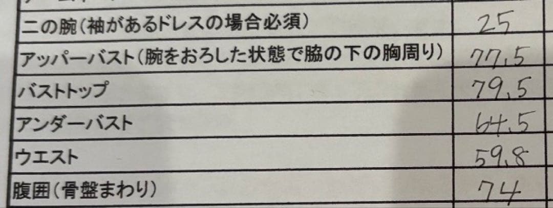 【ドレスプロダクション】W257 パフスリーブ Aラインドレス　トレーン付き