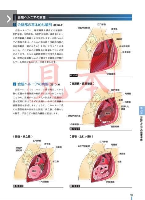 イラストで読む 犬と猫の臨床外科 CLINIC NOTE