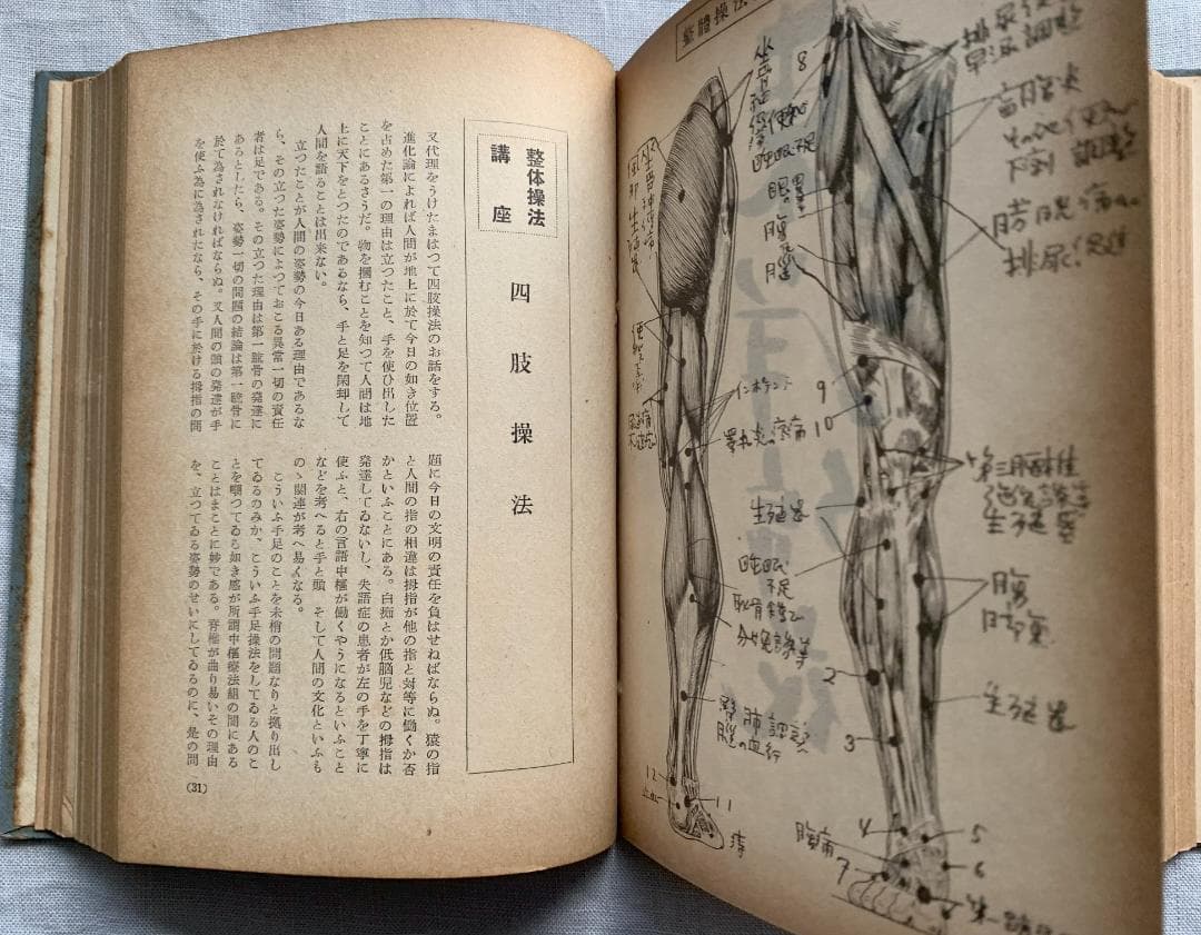 ト*ツ様 野口晴哉著　「全生談義」