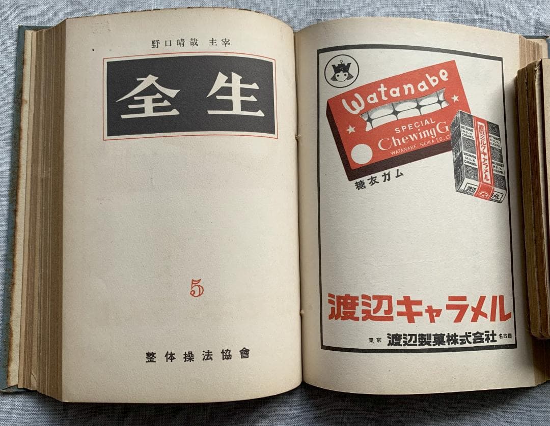 ト*ツ様 野口晴哉著　「全生談義」