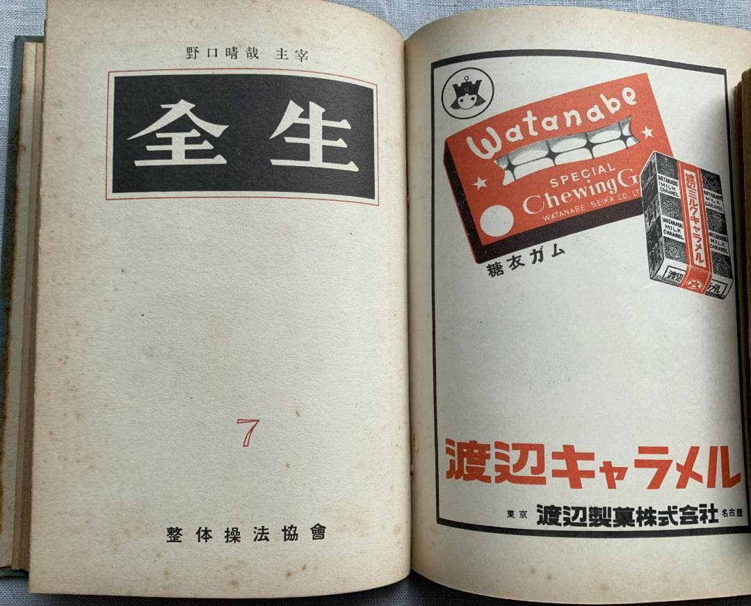 ト*ツ様 野口晴哉著　「全生談義」