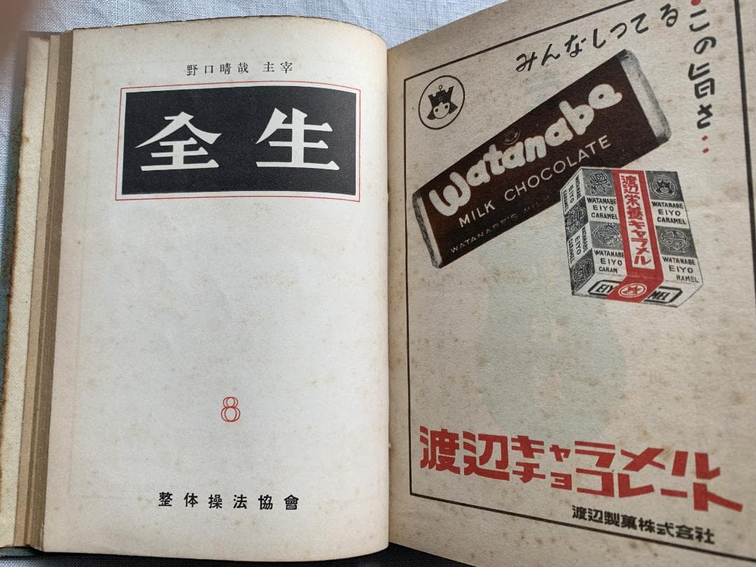 ト*ツ様 野口晴哉著　「全生談義」