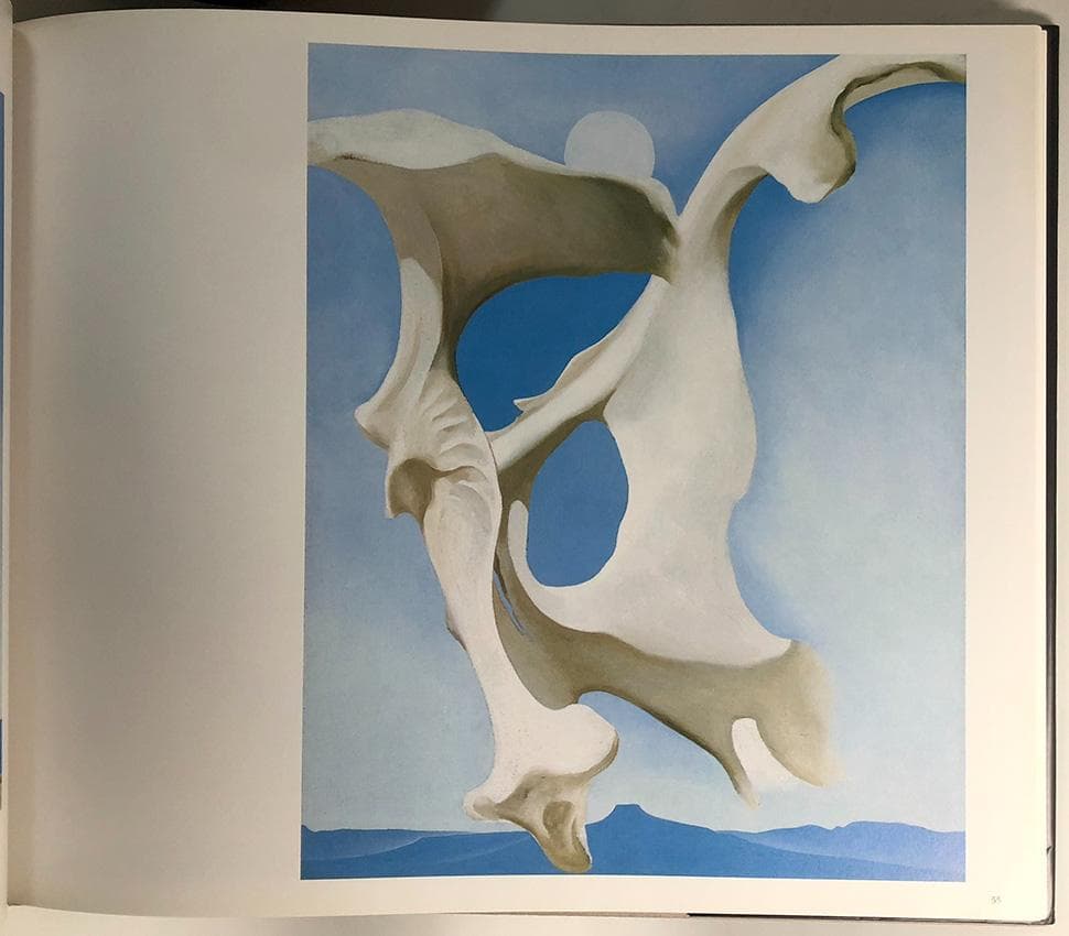 超レア・大判画集『イン・ザ・ウェスト　オキーフ画集』リブロポート刊