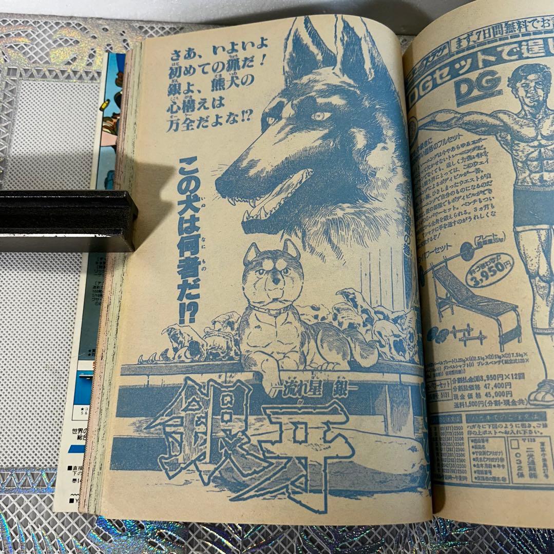 週刊少年ジャンプ 1984年2月6日　Dr.スランプ　鳥山明　北斗の拳
