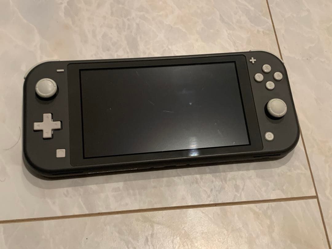 Switchライト　グレー