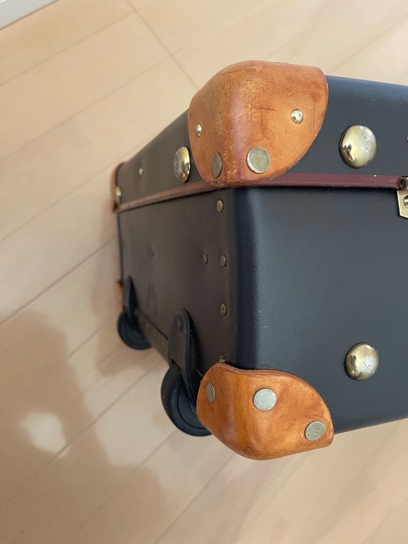 グローブトロッター　GLOBE-TROTTER サファリ　18インチ　キャビン