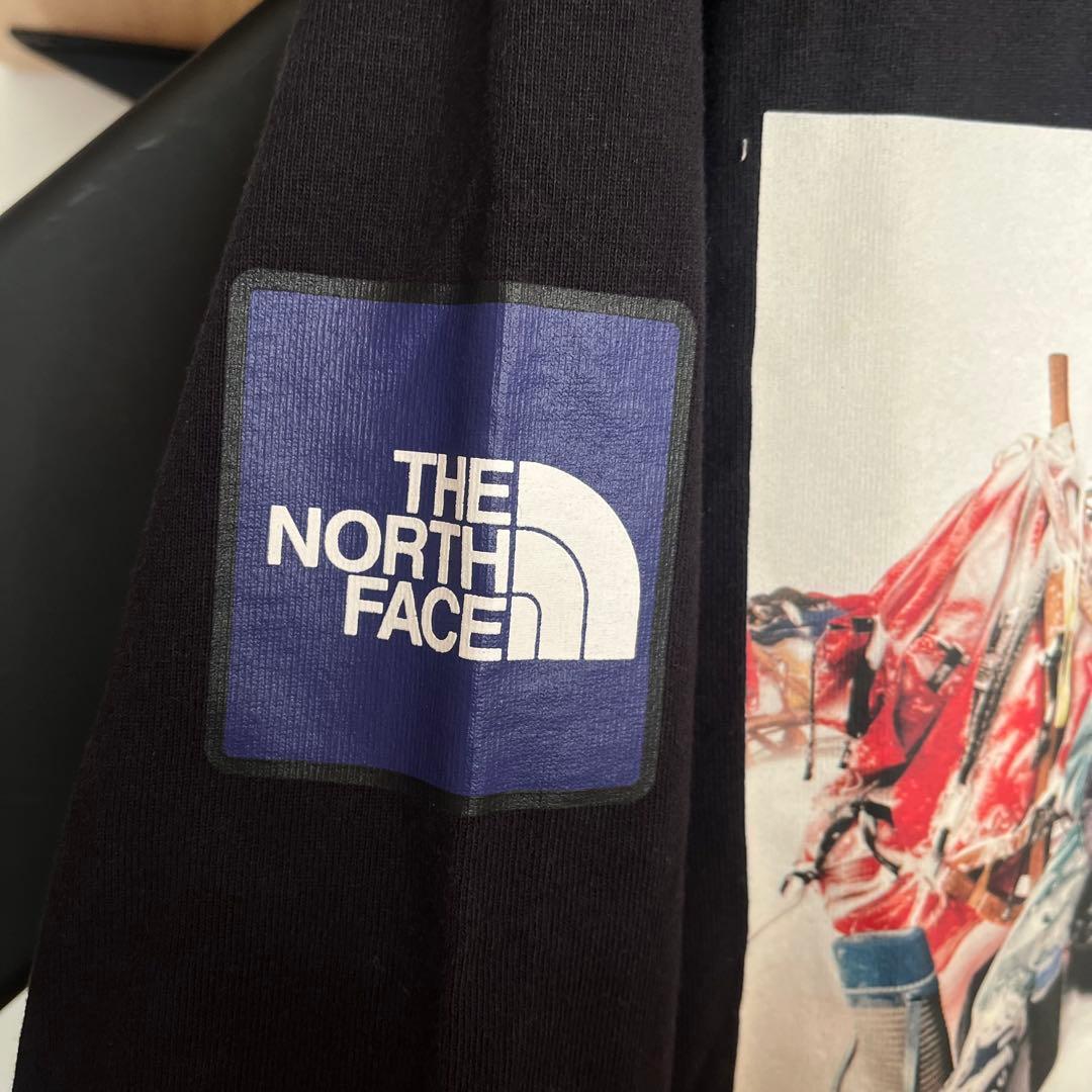 ノースフェイス　トランスアンタークティカ　ロングTシャツ