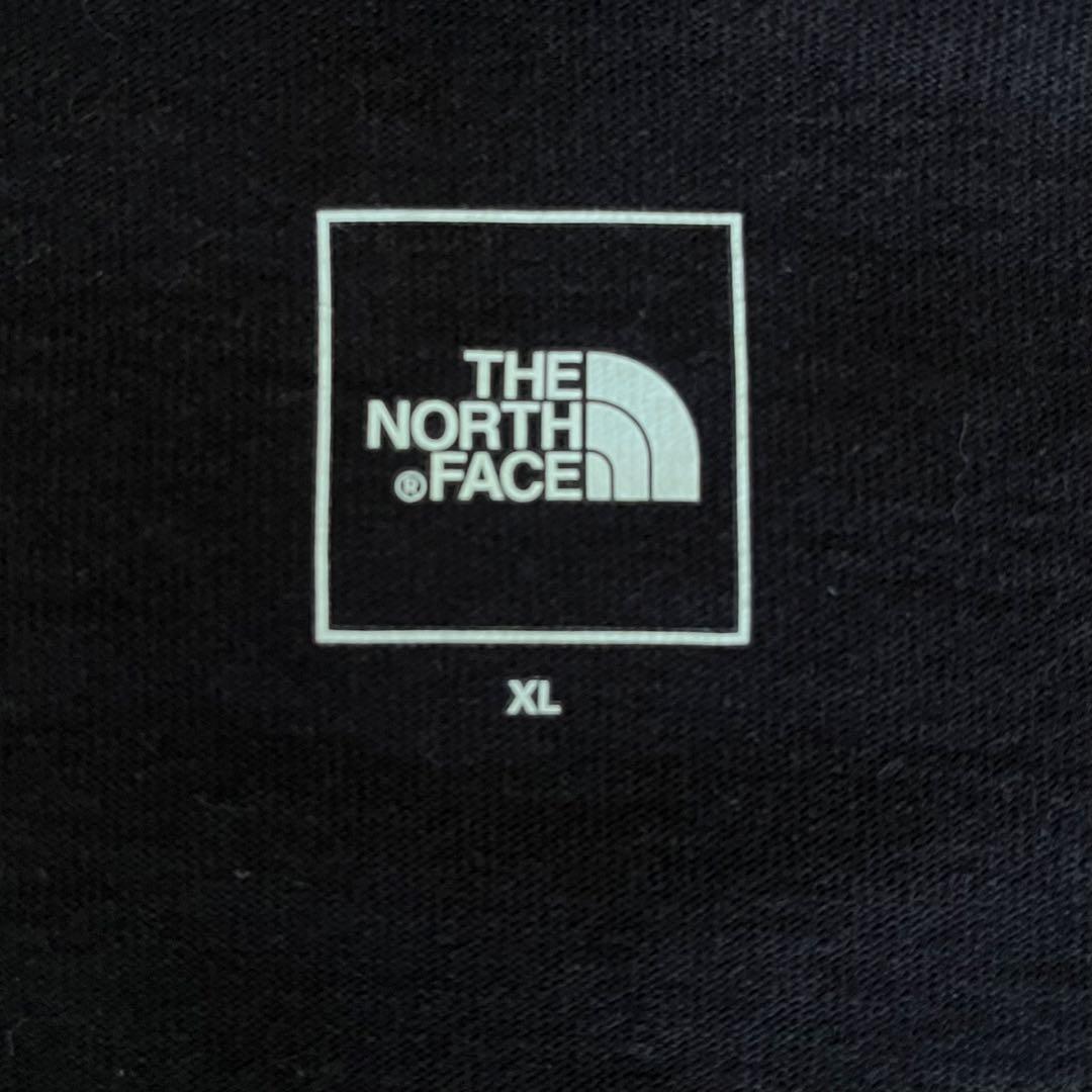 ノースフェイス　トランスアンタークティカ　ロングTシャツ