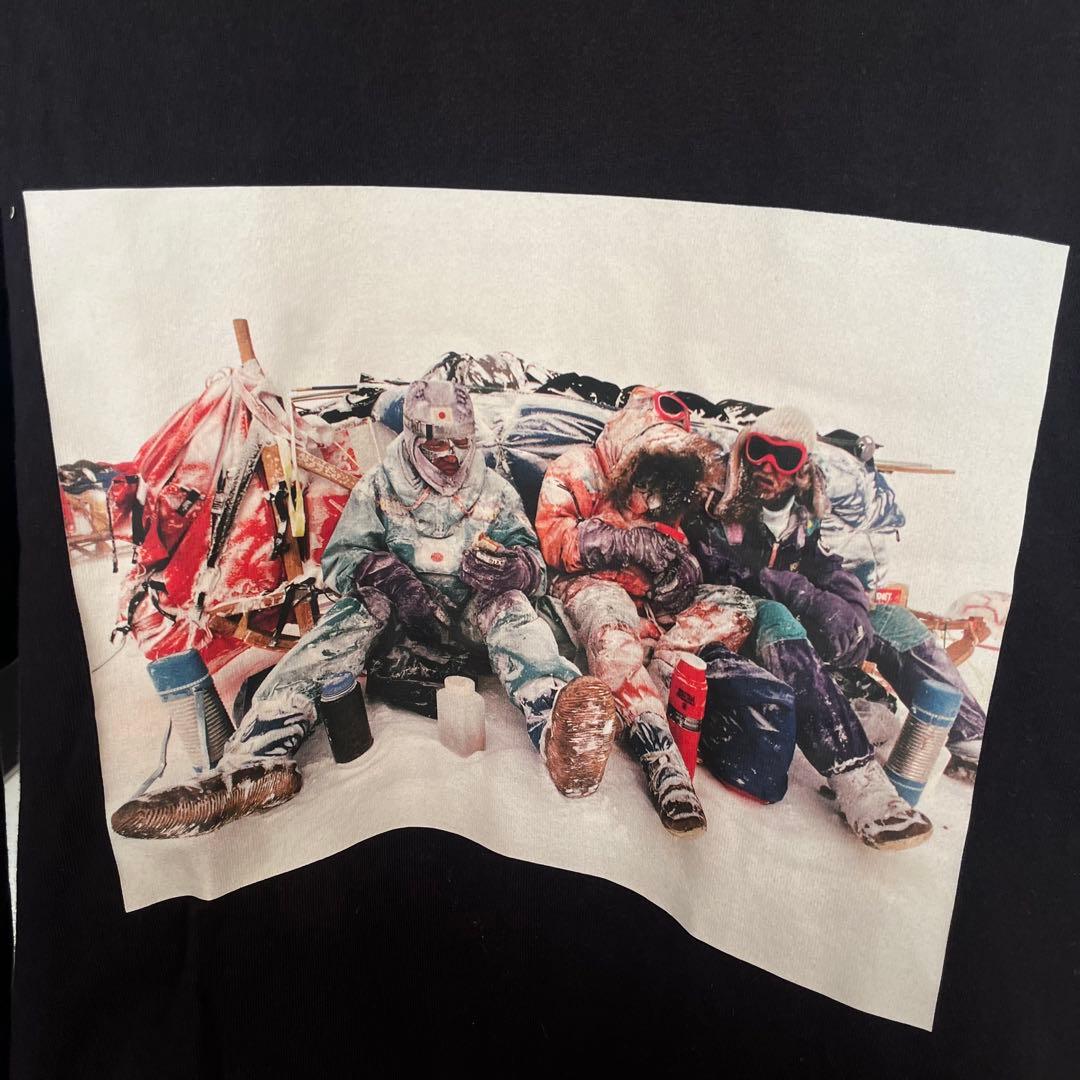 ノースフェイス　トランスアンタークティカ　ロングTシャツ