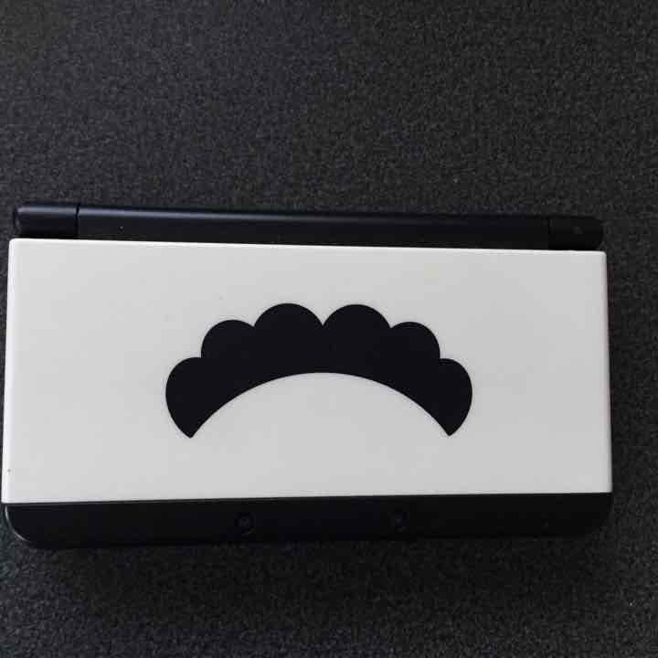 3DS マリオの外装