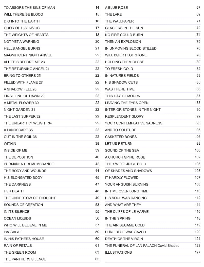 稀少本　John Hejduk　LINES：NO FIRE COULD BURN