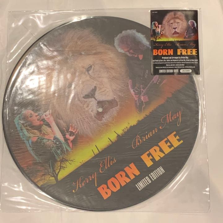 ブライアン メイ　限定ピクチャーディスク　クイーン　Queen