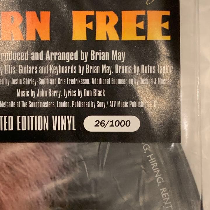 ブライアン メイ　限定ピクチャーディスク　クイーン　Queen