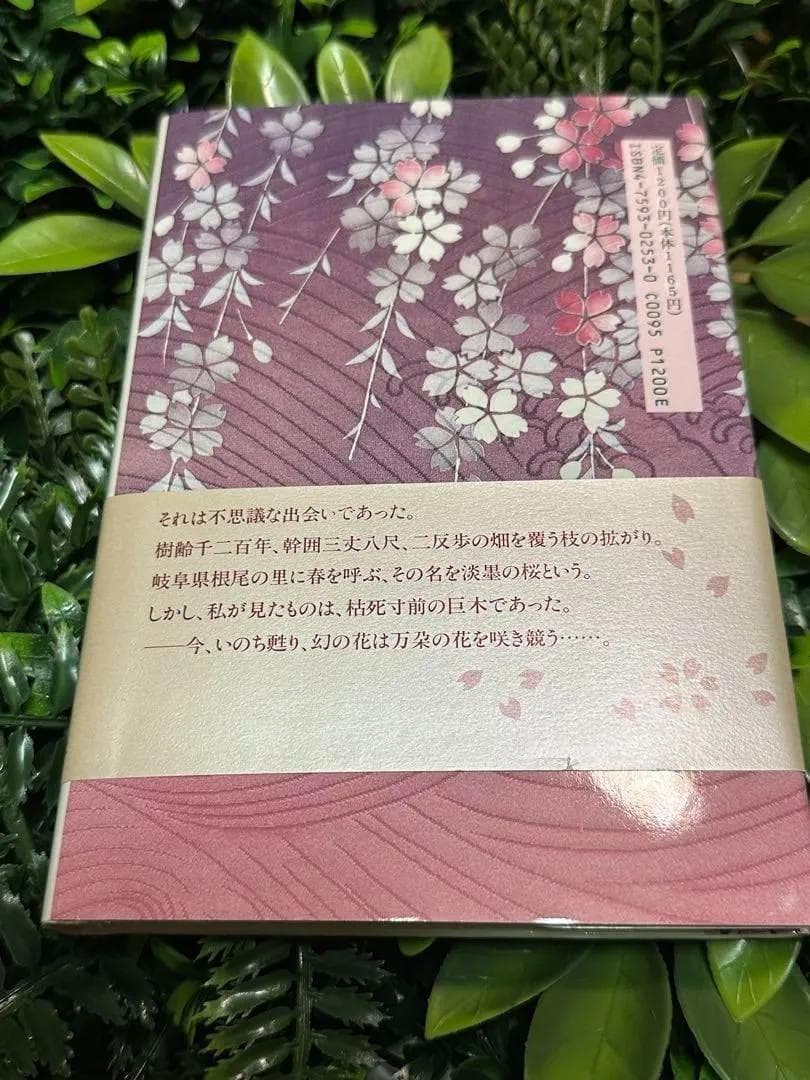 宇野千代 直筆サイン入り 淡墨の桜 愛蔵版 帯付き 美本