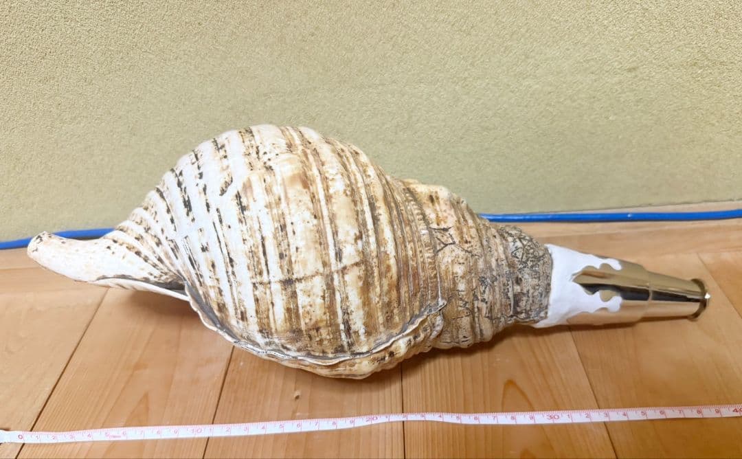 特大40㎝修験道法螺貝 山伏