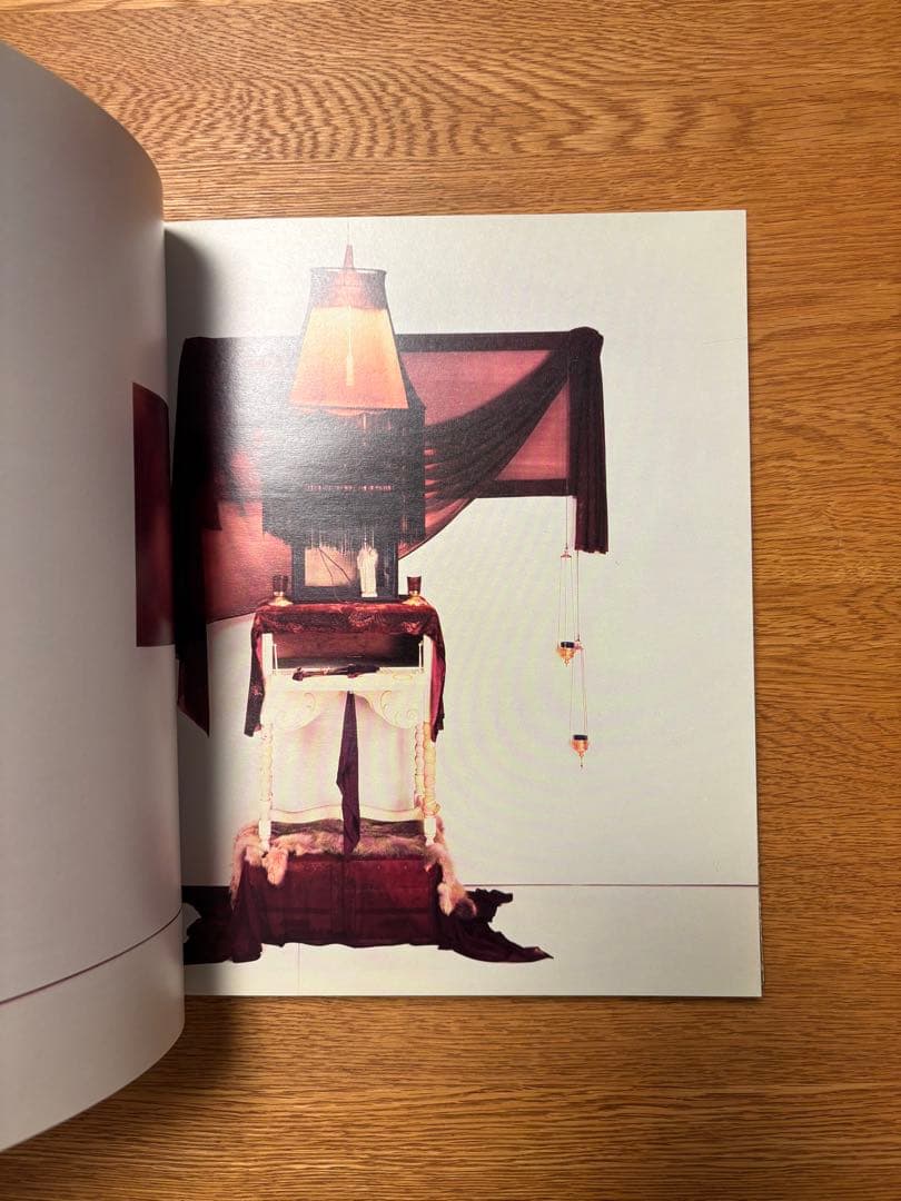 アート・デザイン・音楽 ROBERT MAPPLETHORPE EARLYWORKS