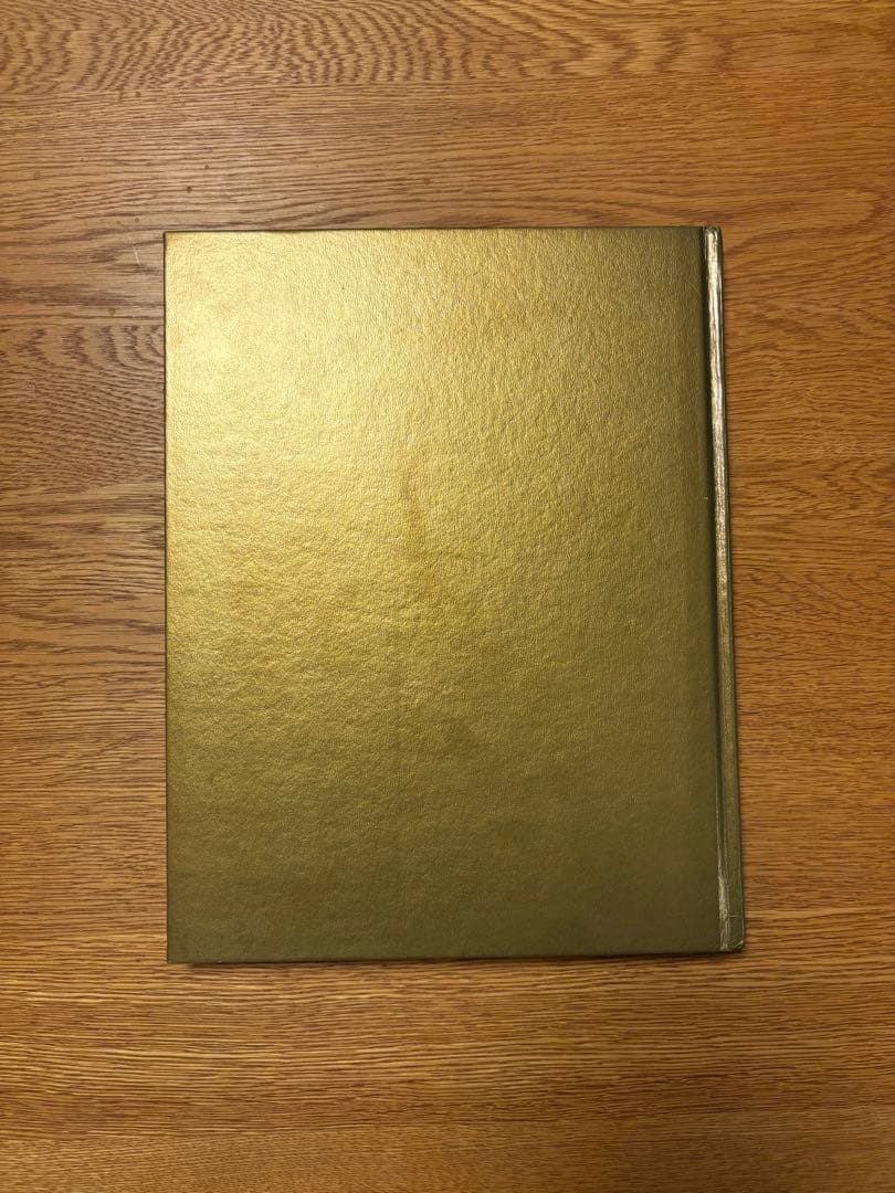 アート・デザイン・音楽 ROBERT MAPPLETHORPE EARLYWORKS