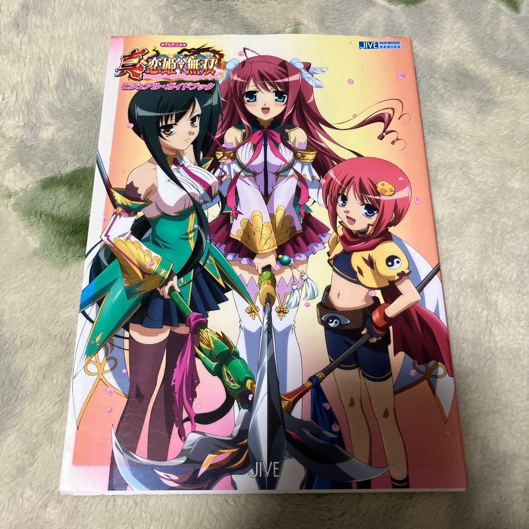 TVアニメ真・恋姫・無双ビジュアル・ガイドブック