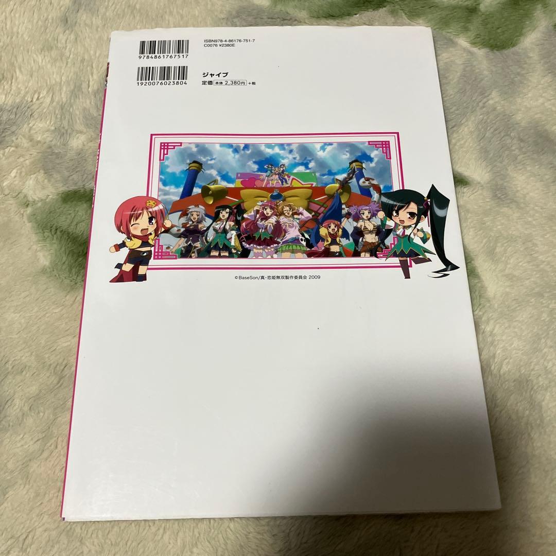 TVアニメ真・恋姫・無双ビジュアル・ガイドブック