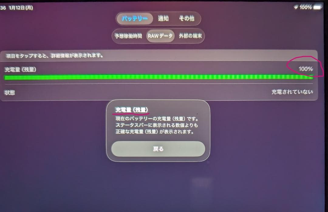 iPad mini 第5世代 64GB Wifiモデル(MUQX2J/A)