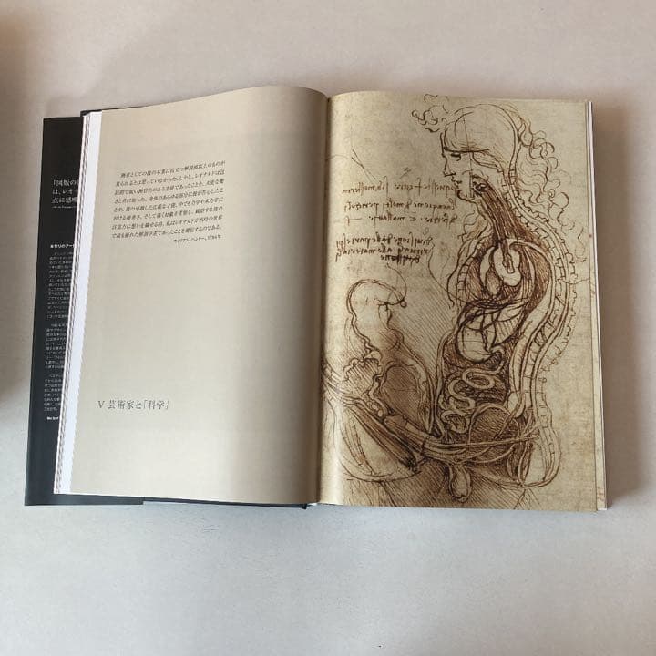 レオナルド・ダ・ヴィンチ : 1452-1519年 : 全絵画作品・素描集