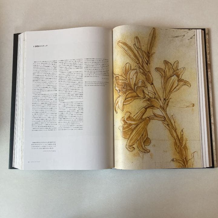 レオナルド・ダ・ヴィンチ : 1452-1519年 : 全絵画作品・素描集