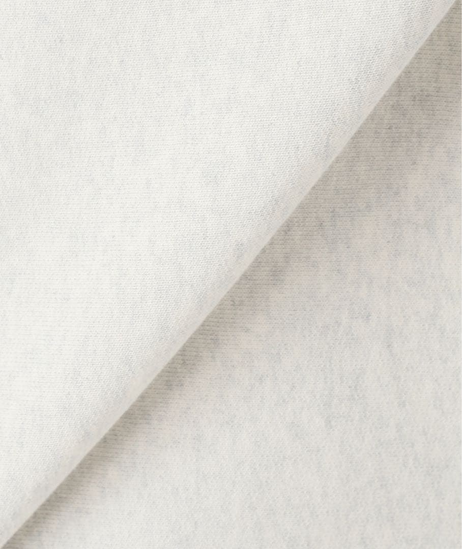 Champion 別注 フードハーフジップドロストプルオーバー