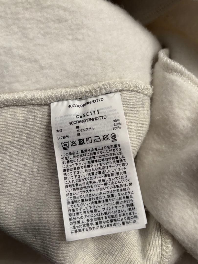 Champion 別注 フードハーフジップドロストプルオーバー