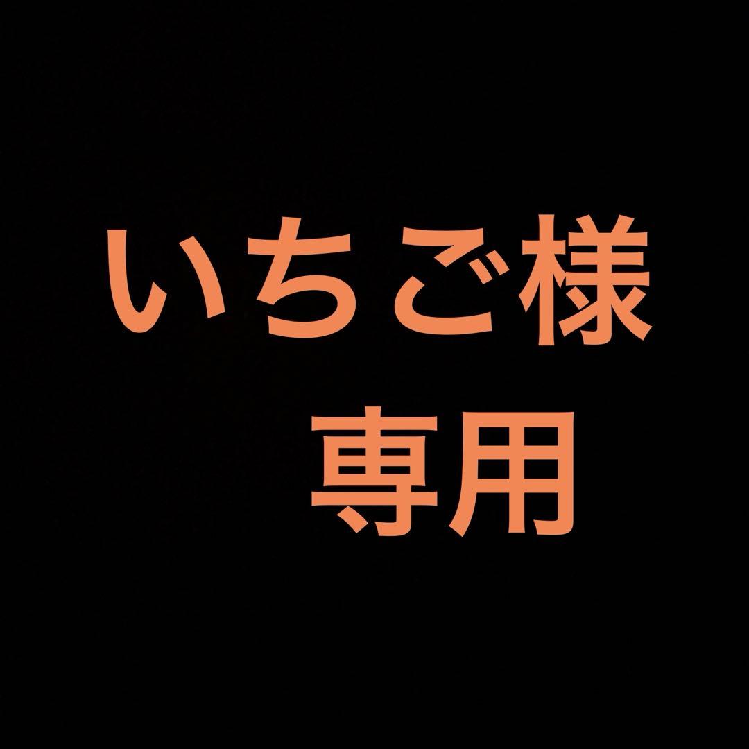 MINOURA FG542 ハイブリッドローラー